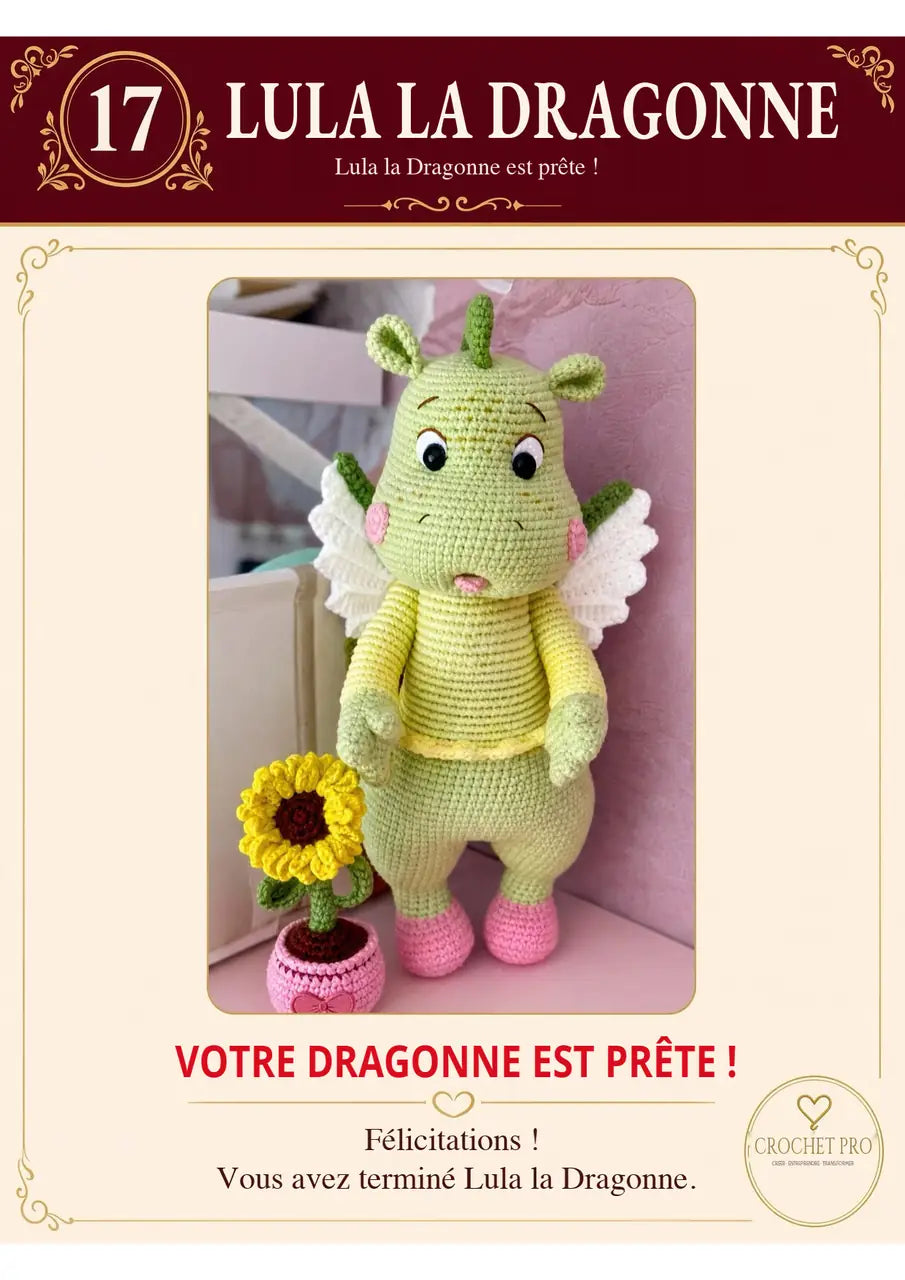Crochet Pro et Main de Maître – pas à pas 16