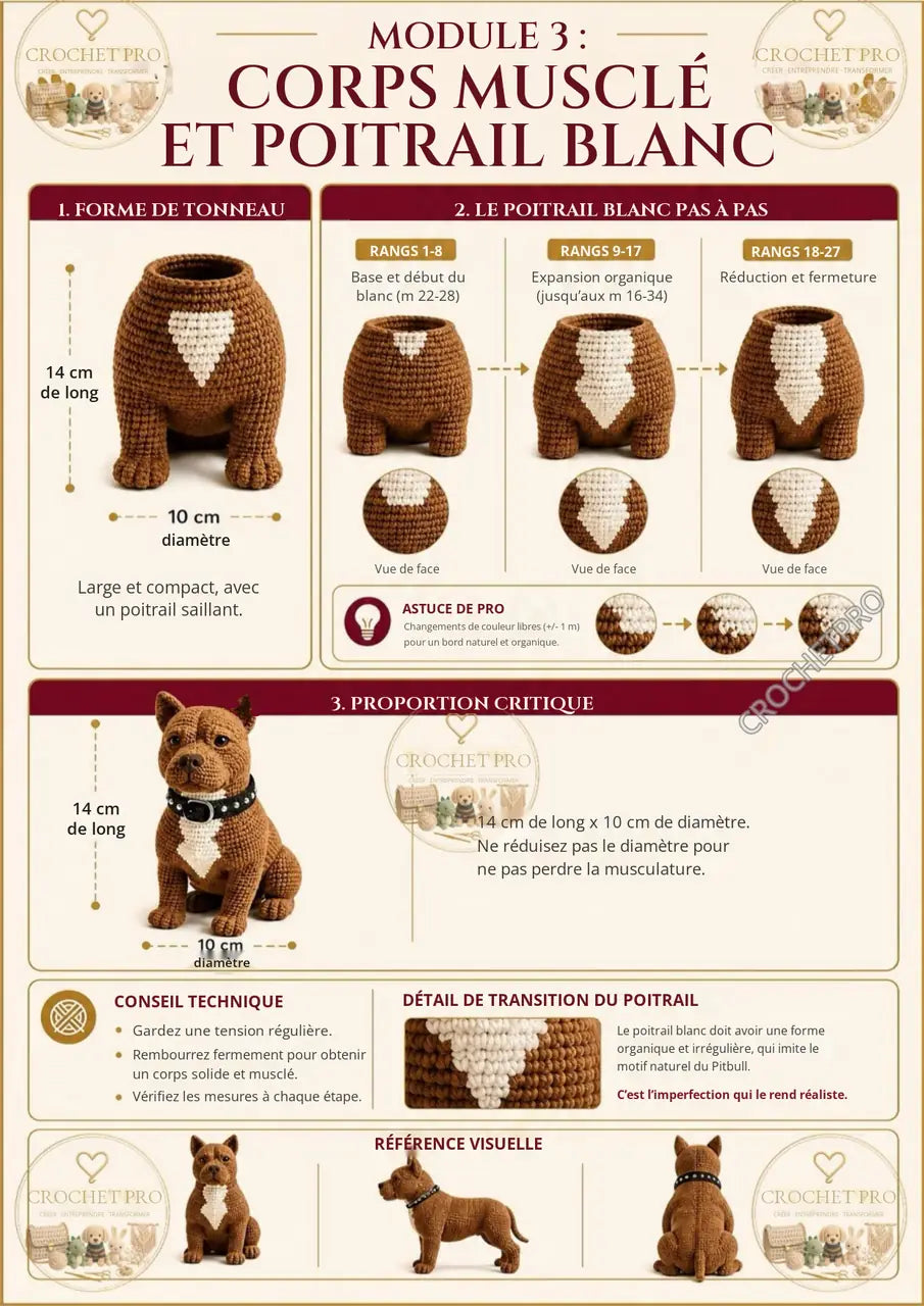 Crochet Pro et Main de Maître – pas à pas 25