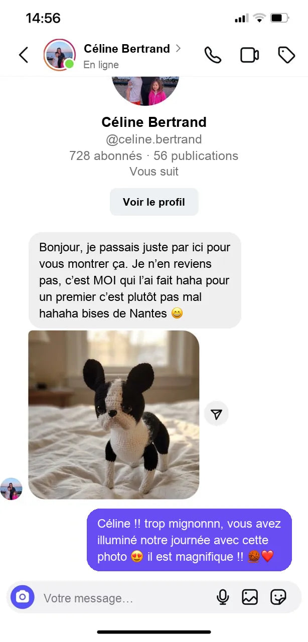 Avis 3