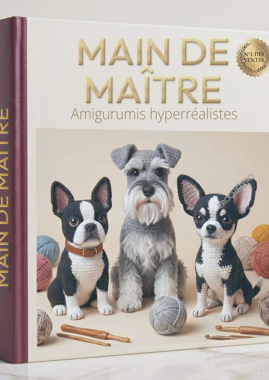 Main de Maître