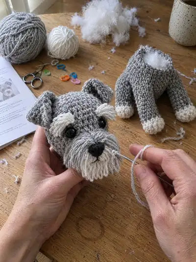 Miniature Schnauzer – steps