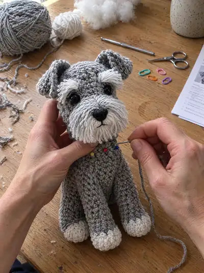 Miniature Schnauzer – steps
