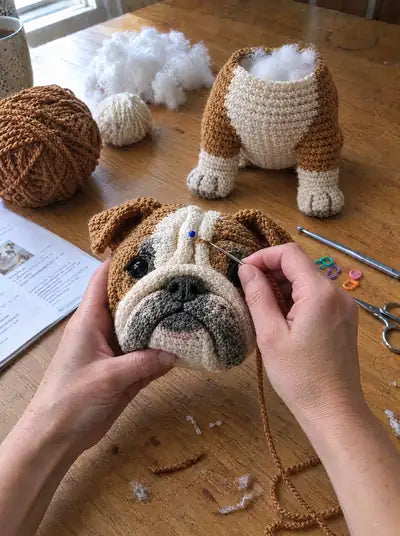 English Bulldog – steps