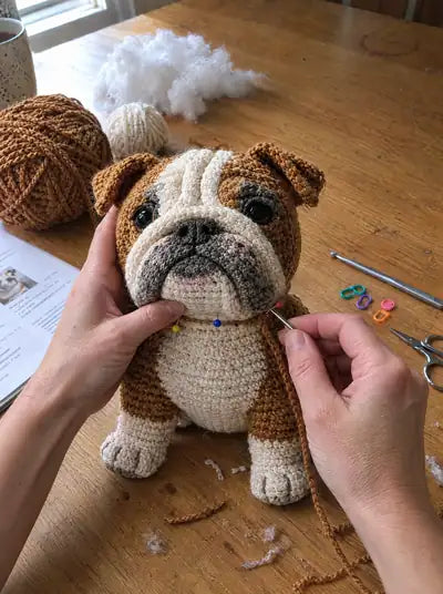 English Bulldog – steps