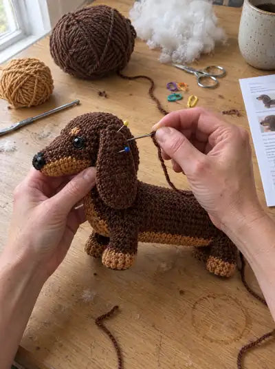 Dachshund – steps