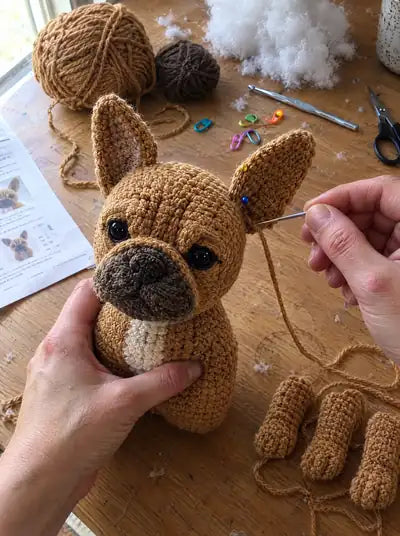 French Bulldog – steps