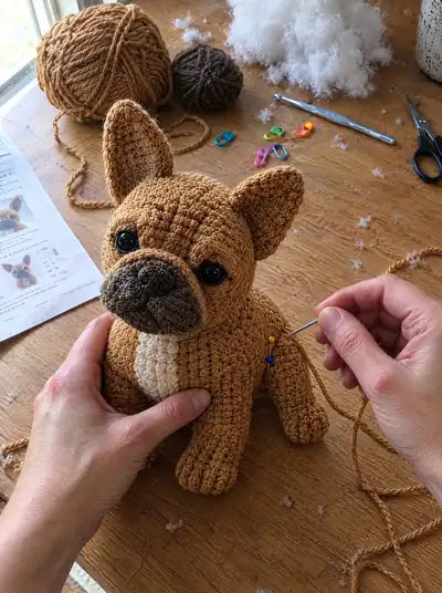 French Bulldog – steps